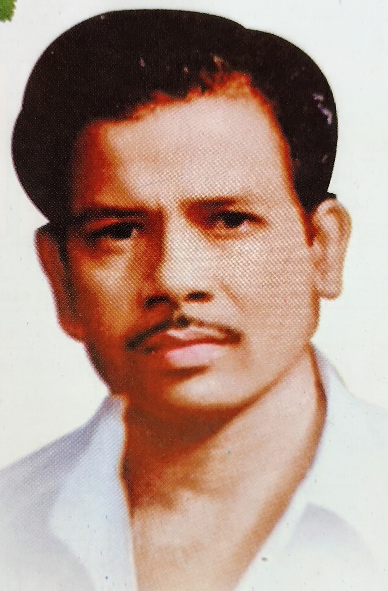 PAILY LONAPAN MELEDATH